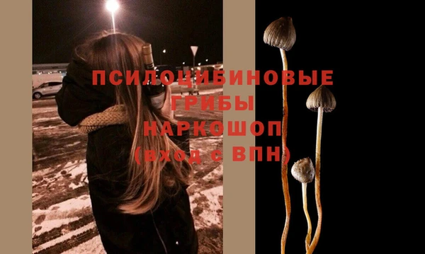 метамфетамин Алексеевка