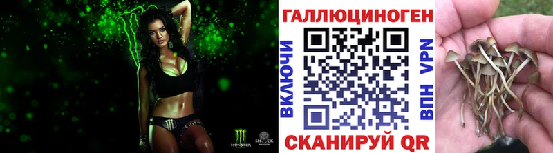 дарнет шоп  Безенчук  Псилоцибиновые грибы Magic Shrooms 